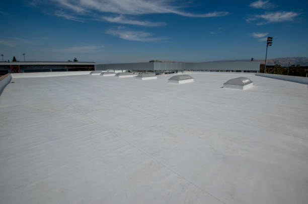 Best Rubber Roofing (EPDM, TPO)  in Inglis, FL